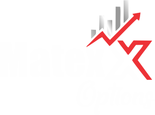 MatexOptions